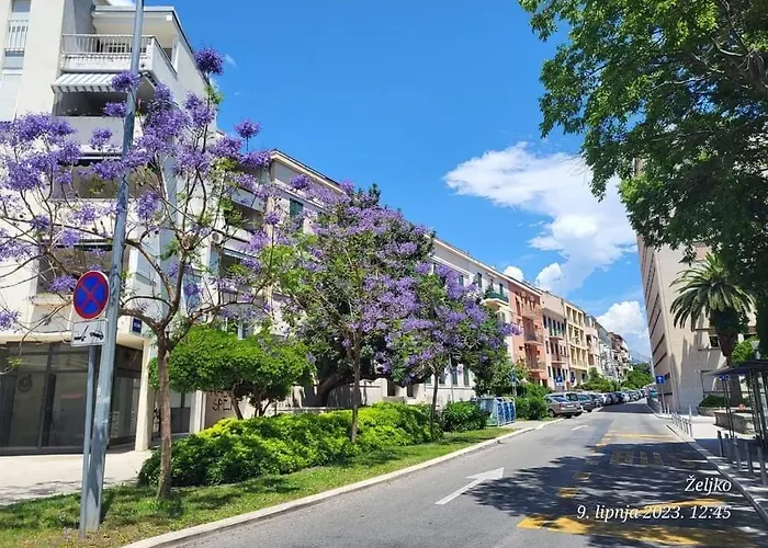 Apartment D&T