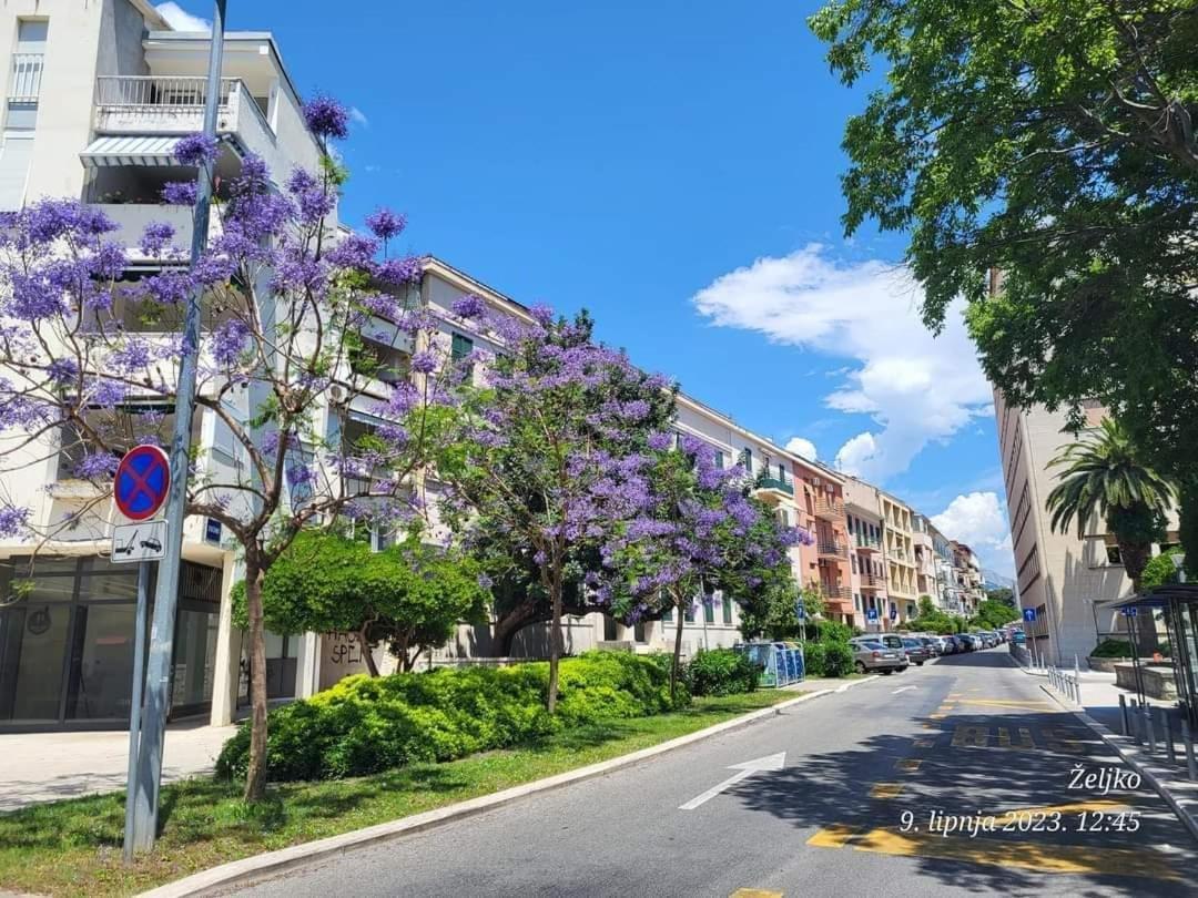 Apartman D&t Split
